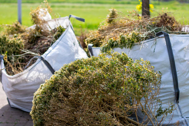 Shed Removal in West Point, UT